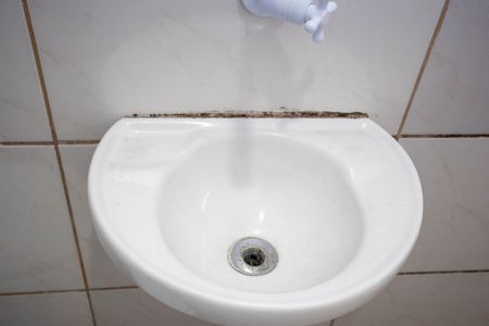 Banheiro de casa para alugar com 1 quarto, 45m² em Conceição, Diadema