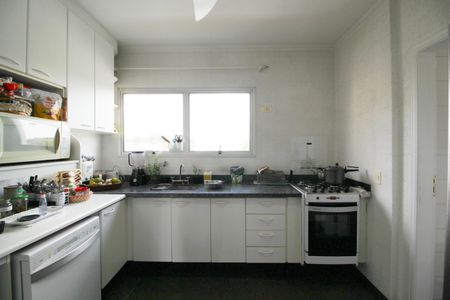 Apartamento para alugar com 262m², 3 quartos e 5 vagasCozinha