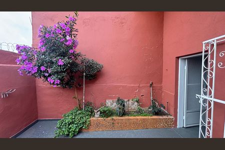 Quintal de casa para alugar com 2 quartos, 150m² em Vila Camilópolis, Santo André