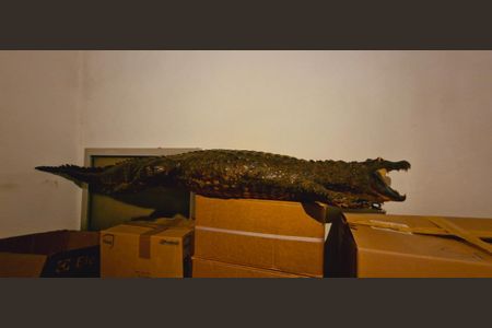 Foto 49 de casa à venda com 5 quartos, 210m² em Mooca, São Paulo