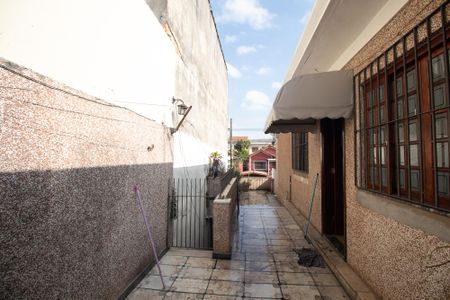 Casa à venda com 300m², 3 quartos e sem vagaQuintal