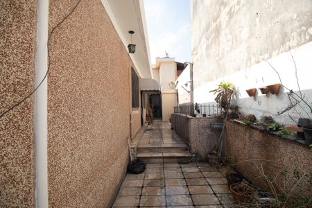 Casa à venda com 300m², 3 quartos e sem vagaQuintal