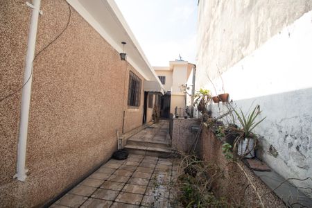 Casa à venda com 300m², 3 quartos e sem vagaQuintal