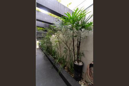 Casa à venda com 262m², 4 quartos e 4 vagas Casa à venda com 262m², 4 quartos e 4 vagasQuintal