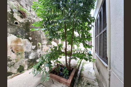 Apartamento à venda com 129m², 4 quartos e sem vagaQuintal 