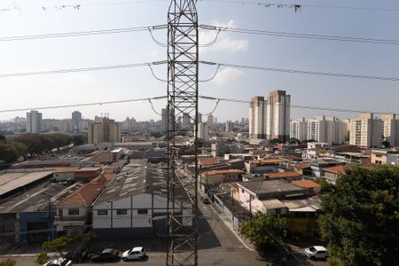 Vista Quarto 1 de apartamento para alugar com 2 quartos, 38m² em Vila Guilherme, São Paulo