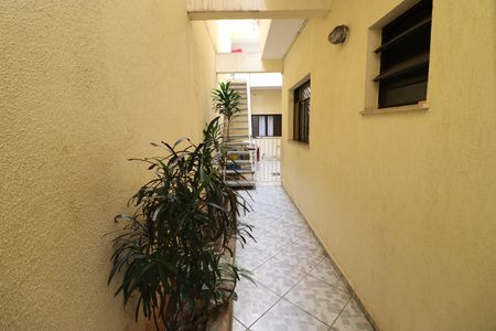 Casa à venda com 368m², 3 quartos e 2 vagasQuintal