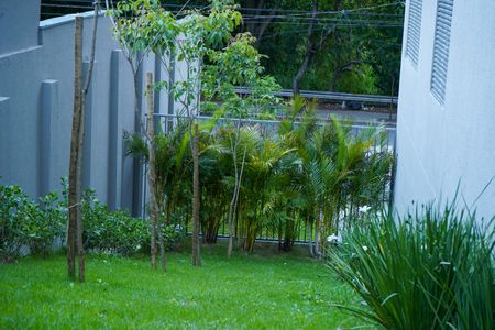 Apartamento para alugar com 50m², 2 quartos e 1 vaga Apartamento para alugar com 50m², 2 quartos e 1 vagaÁrea Verde