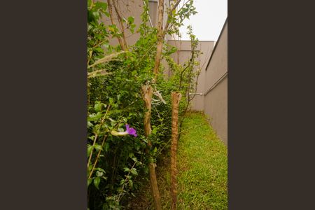 Apartamento para alugar com 50m², 2 quartos e 1 vaga Apartamento para alugar com 50m², 2 quartos e 1 vagaÁrea comum