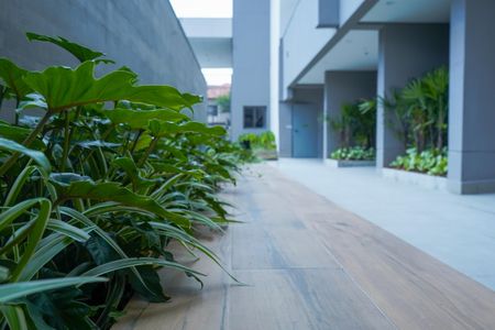 Apartamento para alugar com 50m², 2 quartos e 1 vaga Apartamento para alugar com 50m², 2 quartos e 1 vagaÁrea comum