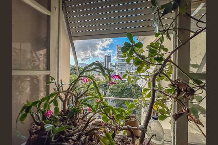 Apartamento à venda com 228m², 4 quartos e 2 vagasVista