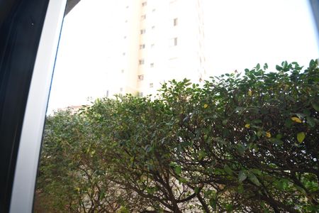 Apartamento à venda com 77m², 2 quartos e 1 vagaSuíte