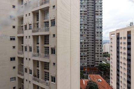 Vista da Varanda de apartamento para alugar com 2 quartos, 40m² em Perdizes, São Paulo