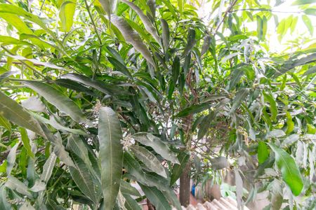 Casa à venda com 180m², 4 quartos e 2 vagasVista do Quarto 2