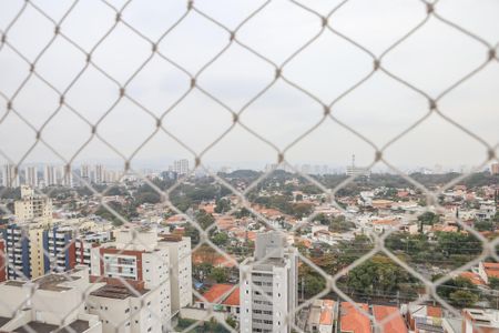 Apartamento à venda com 227m², 3 quartos e 3 vagasVista da Suíte