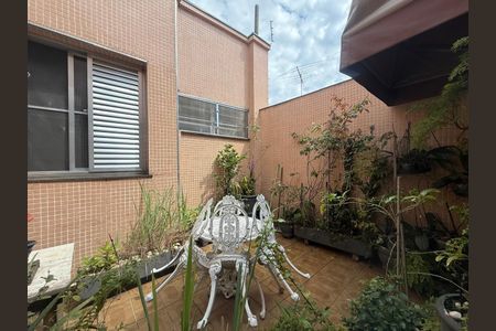 Casa à venda com 300m², 3 quartos e 40 vagas Casa à venda com 300m², 3 quartos e 40 vagasFoto 34