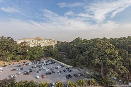 Vista da Sala de apartamento para alugar com 2 quartos, 55m² em Vila Heliopolis, São Paulo