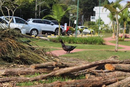 Casa de condomínio para alugar com 330m², 3 quartos e 4 vagasCondomínio
