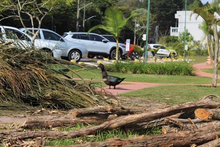 Casa de condomínio para alugar com 330m², 3 quartos e 4 vagasCondomínio