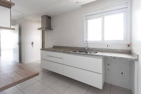 Apartamento à venda com 110m², 3 quartos e 3 vagas Apartamento à venda com 110m², 3 quartos e 3 vagasCozinha