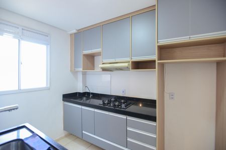 Cozinha de apartamento para alugar com 2 quartos, 43m² em Jd Reserva Real, Ribeirão Preto