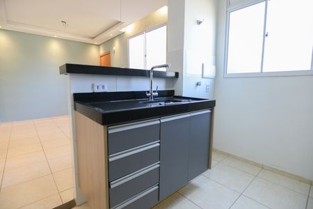 Cozinha de apartamento para alugar com 2 quartos, 43m² em Jd Reserva Real, Ribeirão Preto