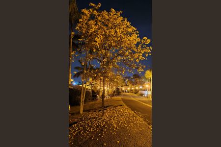 Casa de condomínio à venda com 290m², 4 quartos e 6 vagas Casa de condomínio à venda com 290m², 4 quartos e 6 vagasVista da Rua