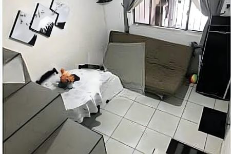 Casa à venda com 3 quartos, 125m² em Vila Suíça, Santo André