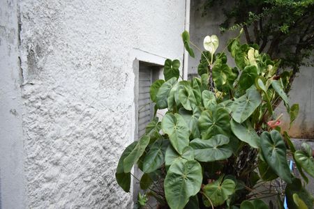 Casa à venda com 224m², 3 quartos e 1 vagaQuintal