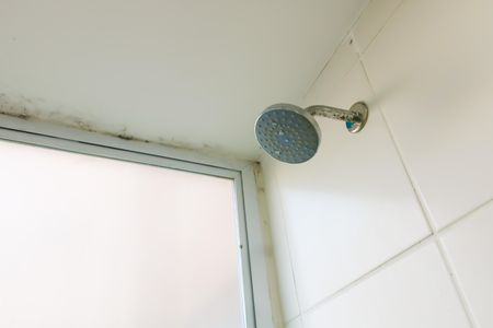 Apartamento para alugar com 45m², 2 quartos e sem vaga Apartamento para alugar com 45m², 2 quartos e sem vagaBanheiro