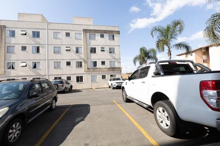 Vista do Quarto 1 de apartamento para alugar com 2 quartos, 38m² em Santo Antônio, São José dos Pinhais