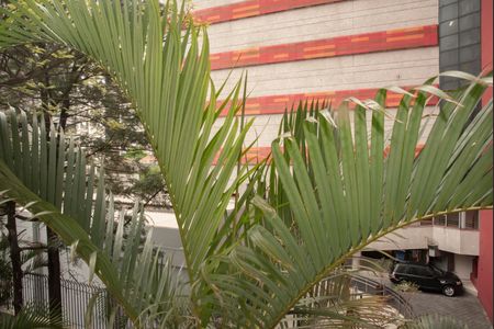 Apartamento para alugar com 80m², 3 quartos e 1 vagaVista do Quarto 3