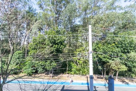 Casa de condomínio à venda com 600m², 6 quartos e 4 vagasVista da Suíte 5