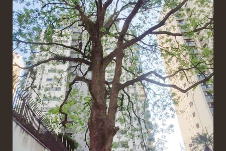 Apartamento à venda com 193m², 4 quartos e 4 vagas