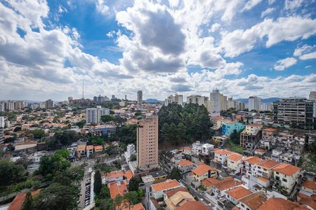 Apartamento à venda com 555m², 7 quartos e 6 vagas Apartamento à venda com 555m², 7 quartos e 6 vagasTerraço - VIsta