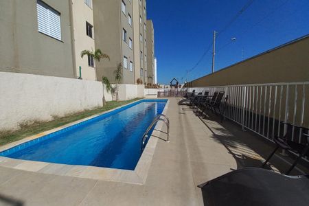Área comum - Piscina de apartamento para alugar com 2 quartos, 46m² em Jardim Florence, Campinas