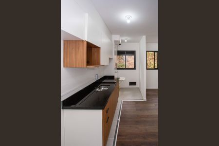 Apartamento para alugar com 40m², 2 quartos e sem vagaCozinha