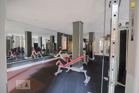 Apartamento à venda com 53m², 2 quartos e 1 vaga Apartamento à venda com 53m², 2 quartos e 1 vagaÁrea comum - Academia