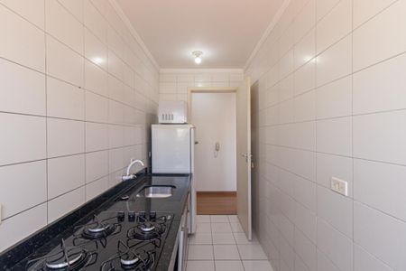Apartamento para alugar com 50m², 2 quartos e sem vaga Apartamento para alugar com 50m², 2 quartos e sem vagaCozinha