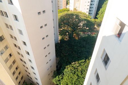 Vista do Quarto 2 de apartamento à venda com 3 quartos, 76m² em Vila Mascote, São Paulo