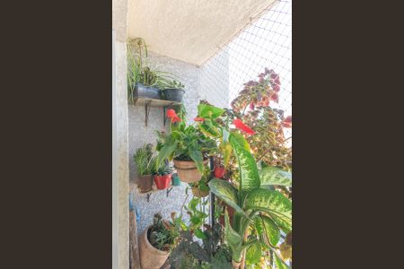 Sacada da Sala de apartamento à venda com 2 quartos, 52m² em Vila Mimosa, Campinas