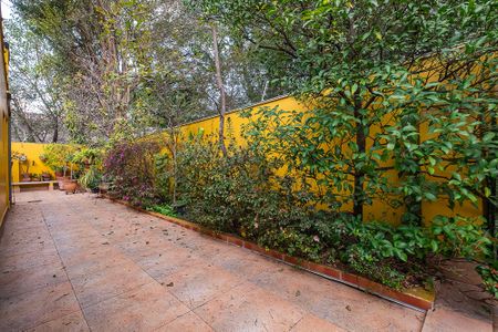 Casa para alugar com 320m², 3 quartos e 5 vagasQuintal