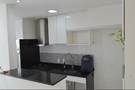 Apartamento para alugar com 50m², 2 quartos e 1 vagaCozinha