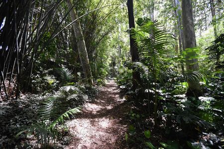 Apartamento à venda com 178m², 3 quartos e 2 vagas Apartamento à venda com 178m², 3 quartos e 2 vagasBosque