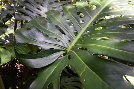 Apartamento à venda com 178m², 3 quartos e 2 vagas Apartamento à venda com 178m², 3 quartos e 2 vagasBosque