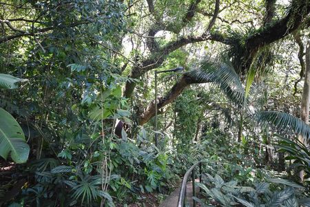 Apartamento à venda com 178m², 3 quartos e 2 vagas Apartamento à venda com 178m², 3 quartos e 2 vagasBosque