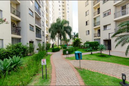 Área comum de apartamento para alugar com 2 quartos, 50m² em Vila Siqueira (zona Norte), São Paulo