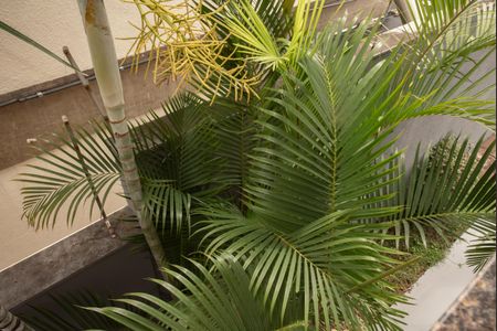 Apartamento à venda com 399m², 4 quartos e 7 vagasVista da Suíte 2