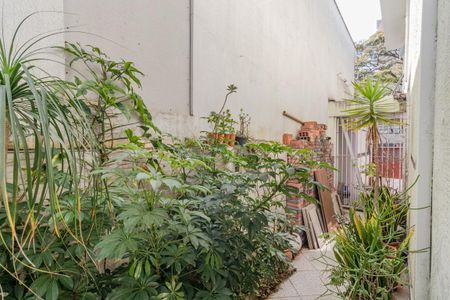 Casa para alugar com 133m², 3 quartos e 2 vagasQuintal