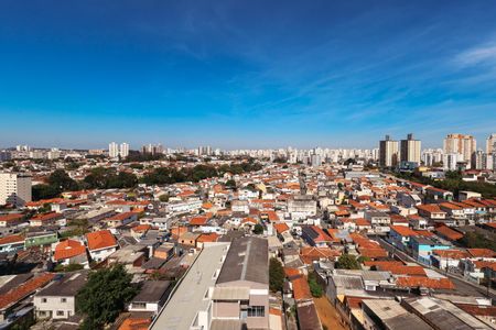 Apartamento para alugar com 75m², 3 quartos e 1 vagaVista da Suíte